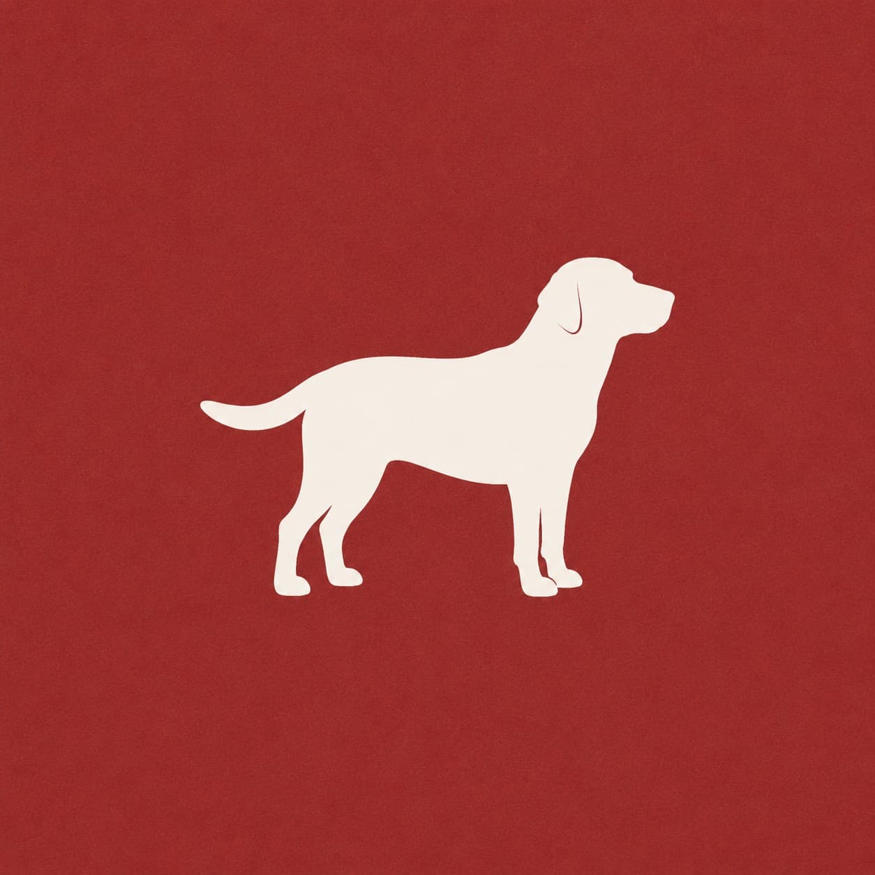 Dogs collection